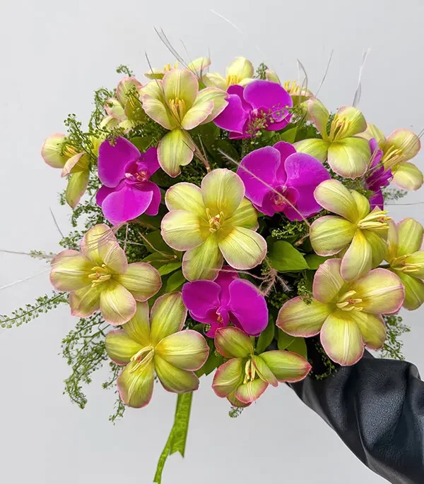 Tinkerbell Fairy Lale Orkide Buketi