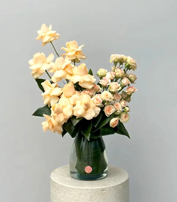 Vanilla Mist Vazoda Kayısı Güller