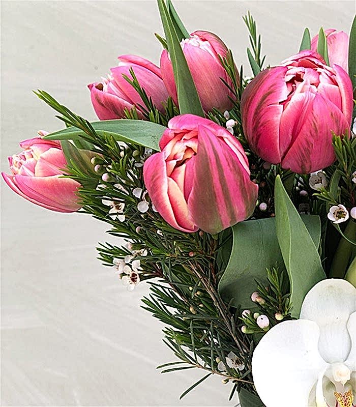 Vazoda Pembe Laleler ve Orkide